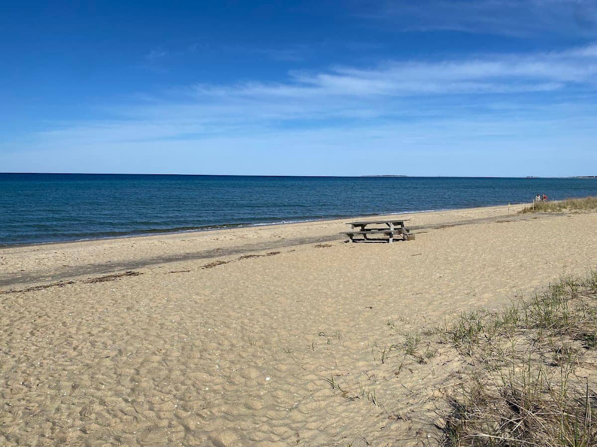 Bend-in-the-Road Beach beach in Martha's Vineyard, Massachusetts