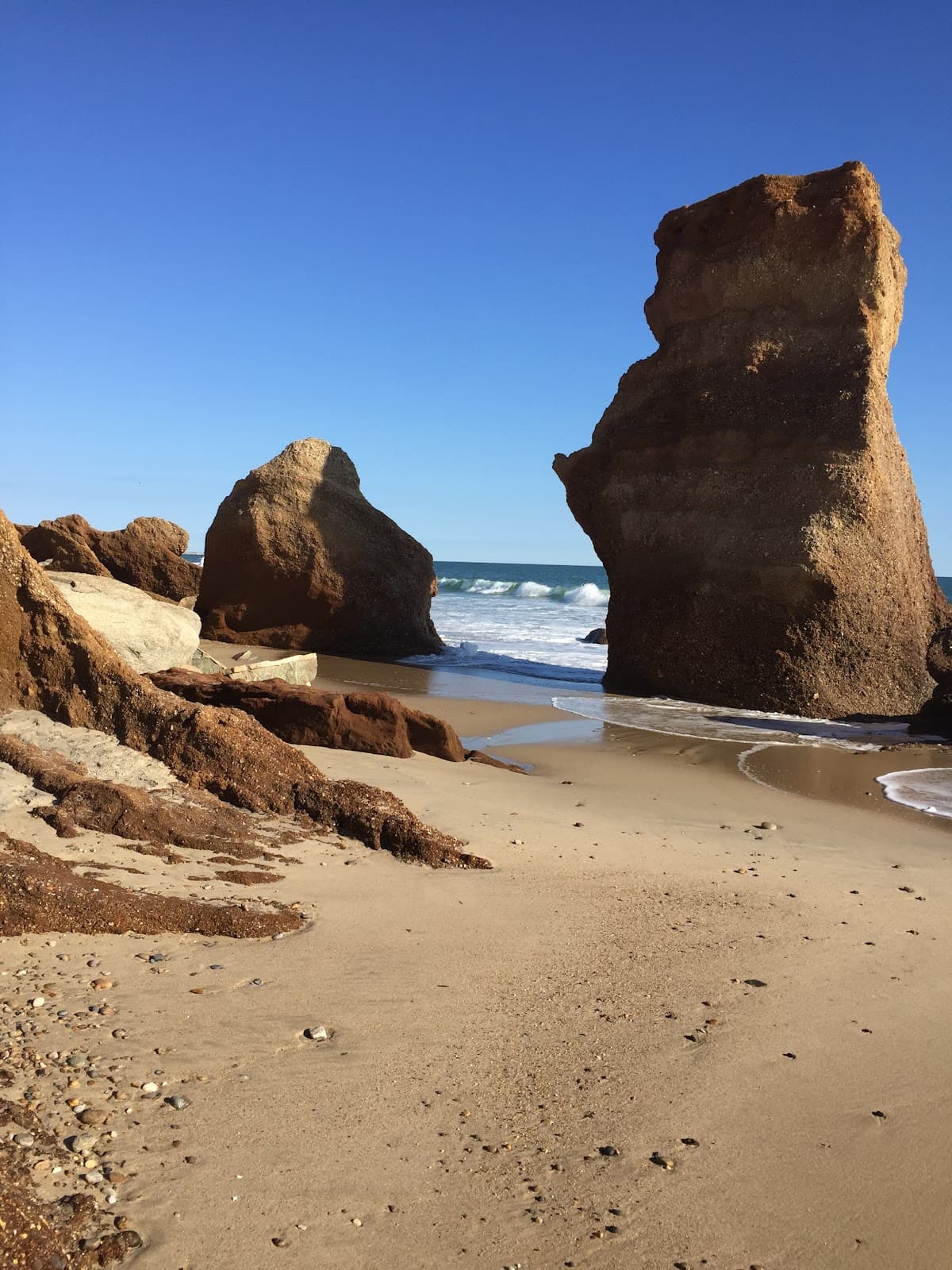 Lucy Vincent Beach beach in Martha's Vineyard, Massachusetts
