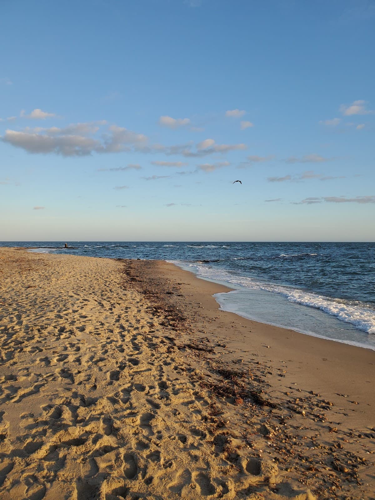 Menauhant Beach beach in Falmouth, Massachusetts