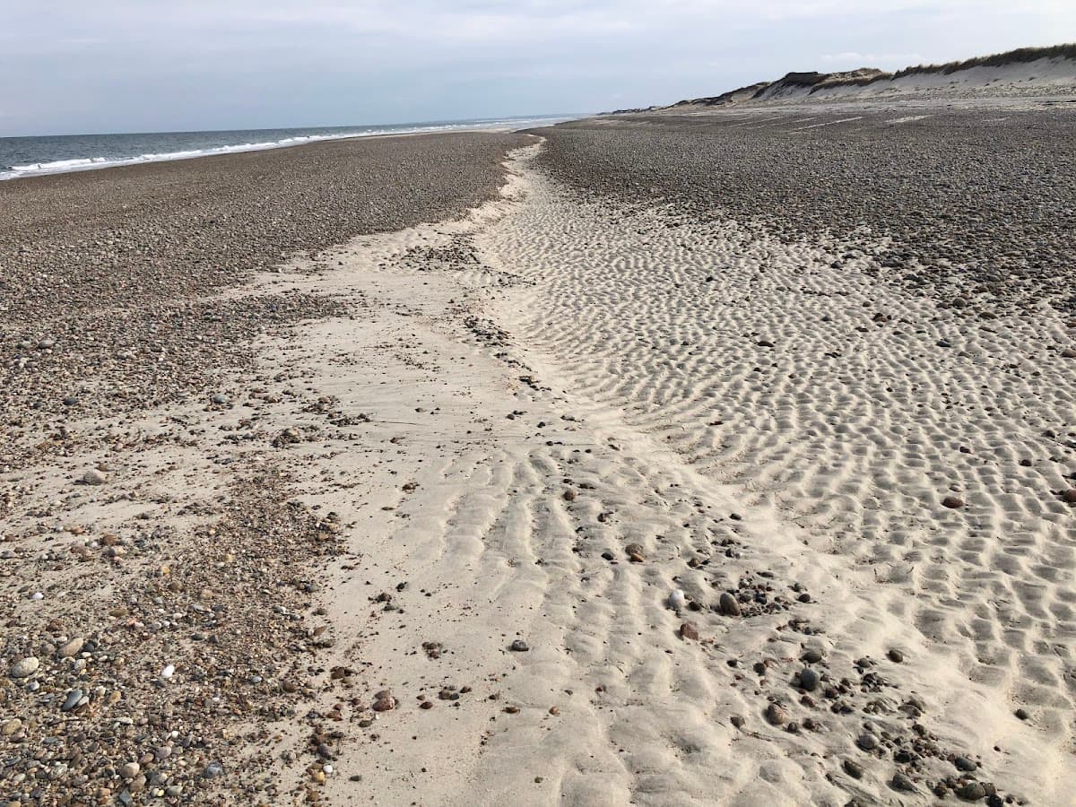 Sandy Neck Beach